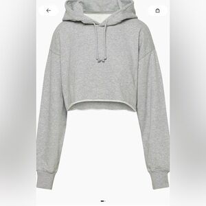 Aritzia - the constant crop hoodie